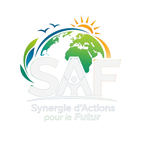 synergie.soltech237.com